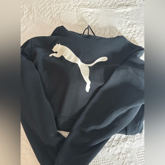 Puma Other - Puma Men’s Charcoal Hoodie with Iconic Logo